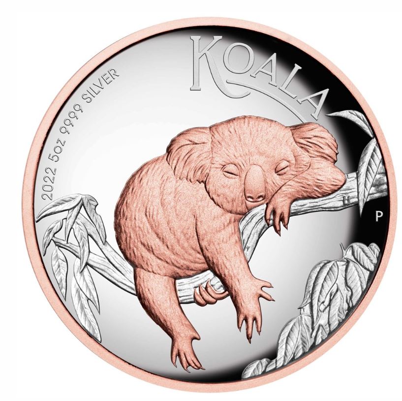 Thumbnail for 2022 Australian Koala 5oz Silver Proof High Relief Gilded $8 Coin