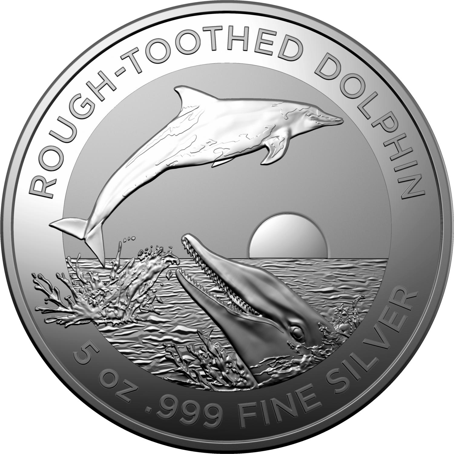 Thumbnail for 2023 $1 Australian Dolphin Series Rough Toothed Dolphin $1 1oz Silver Investment Coin