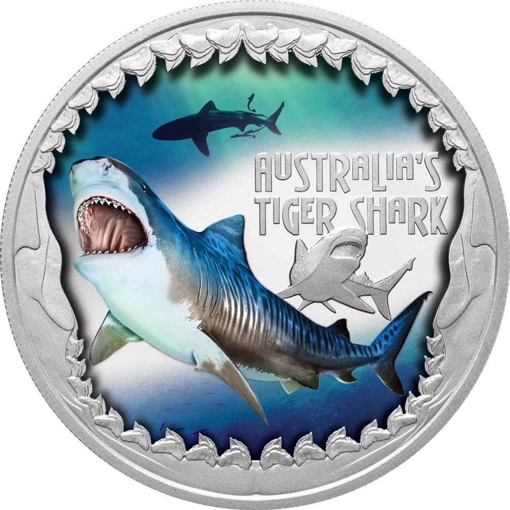Thumbnail for 2023 $1 Deadly & Dangerous Australia's Tiger Shark 1oz Silver Proof Coloured Coin