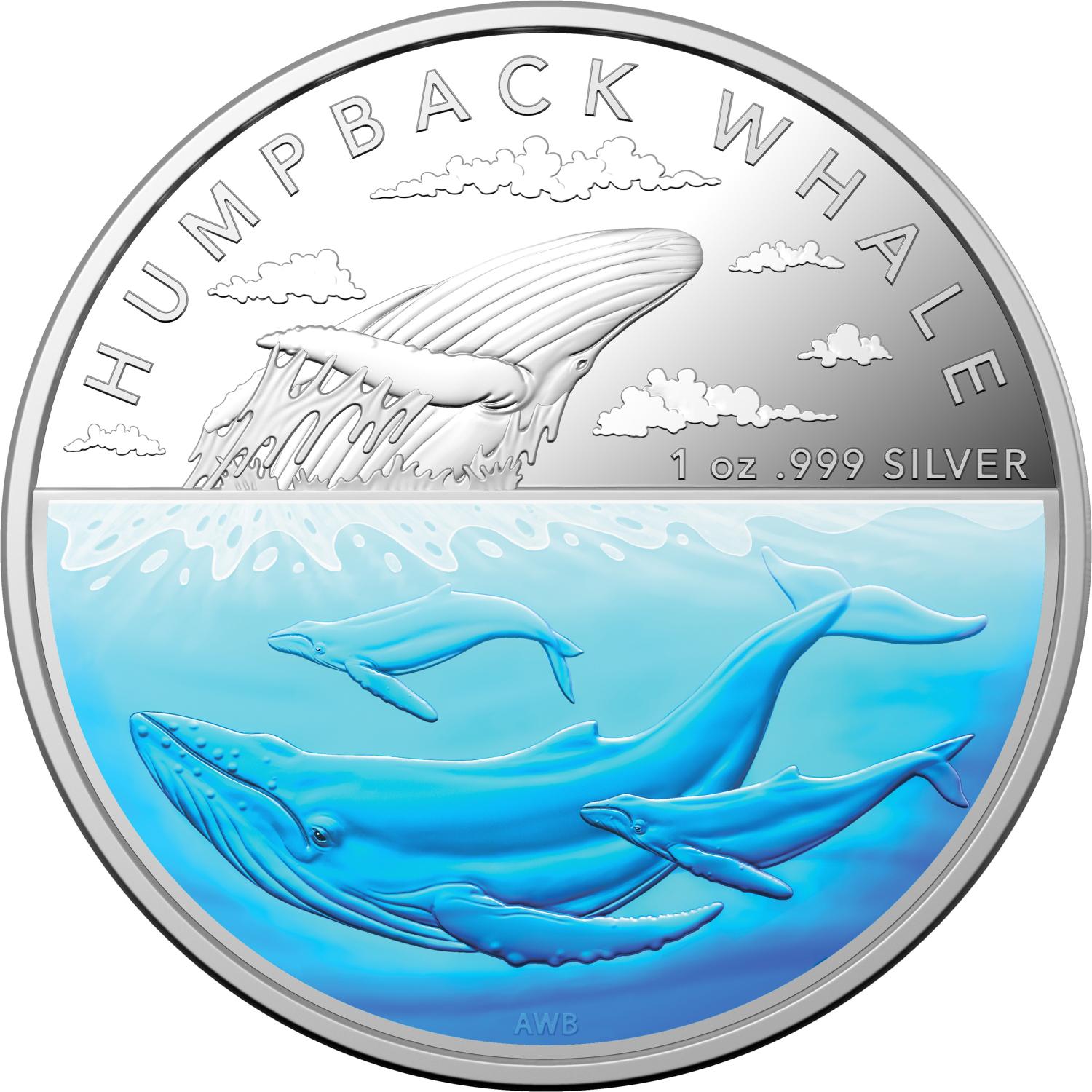 Thumbnail for 2023 $5 Australian Antarctic Territory Humpback Whale 1oz Coloured Silver Proof Coin