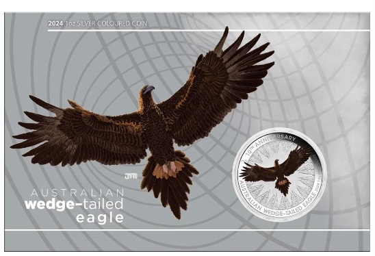 Thumbnail for 2024 $1 Australian Wedge Tailed Eagle 10th Anniversary 1oz Silver Coloured Coin in Card (Perth Mint)