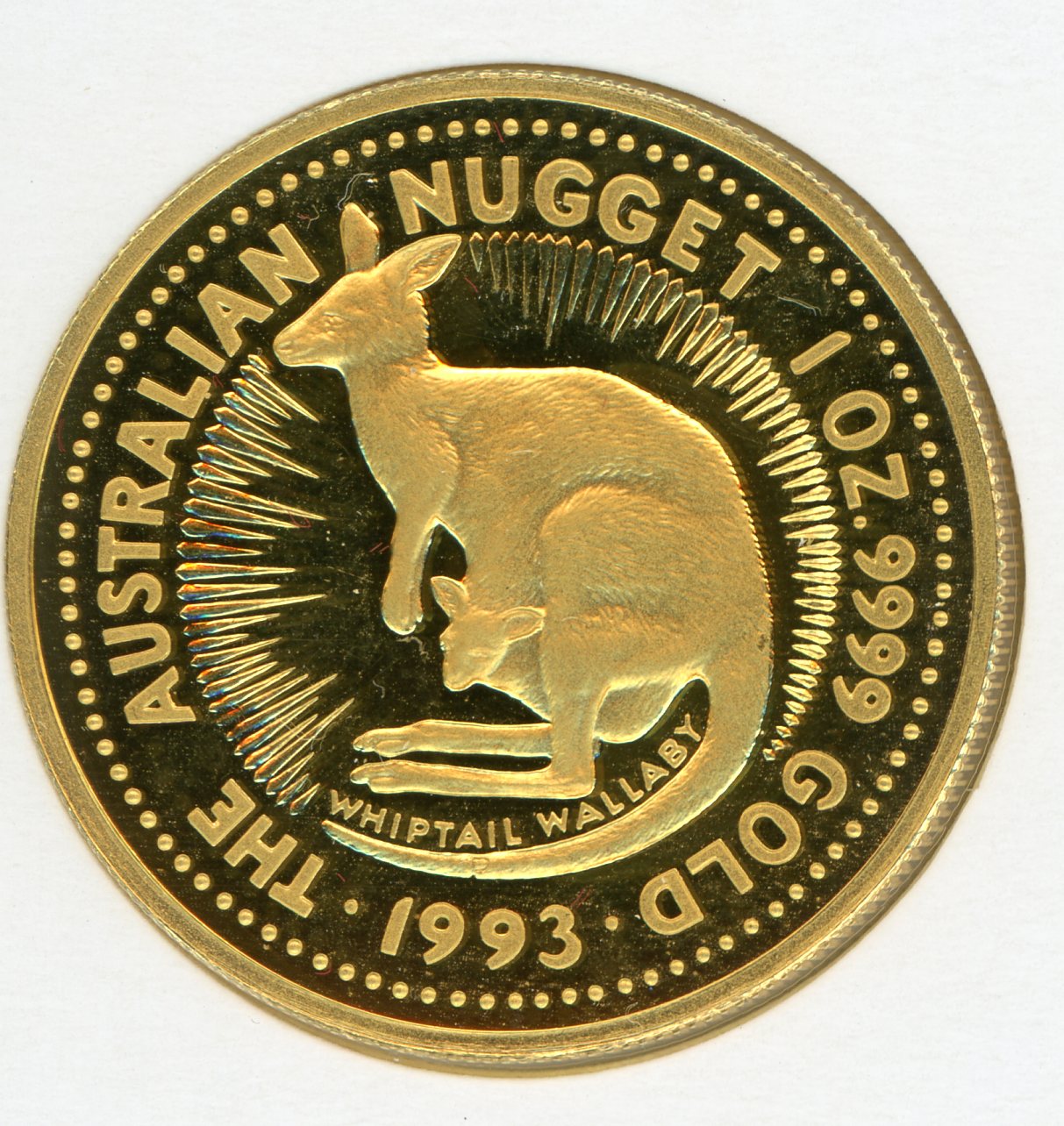 Thumbnail for 1993 One oz Gold Proof Whiptail Wallaby