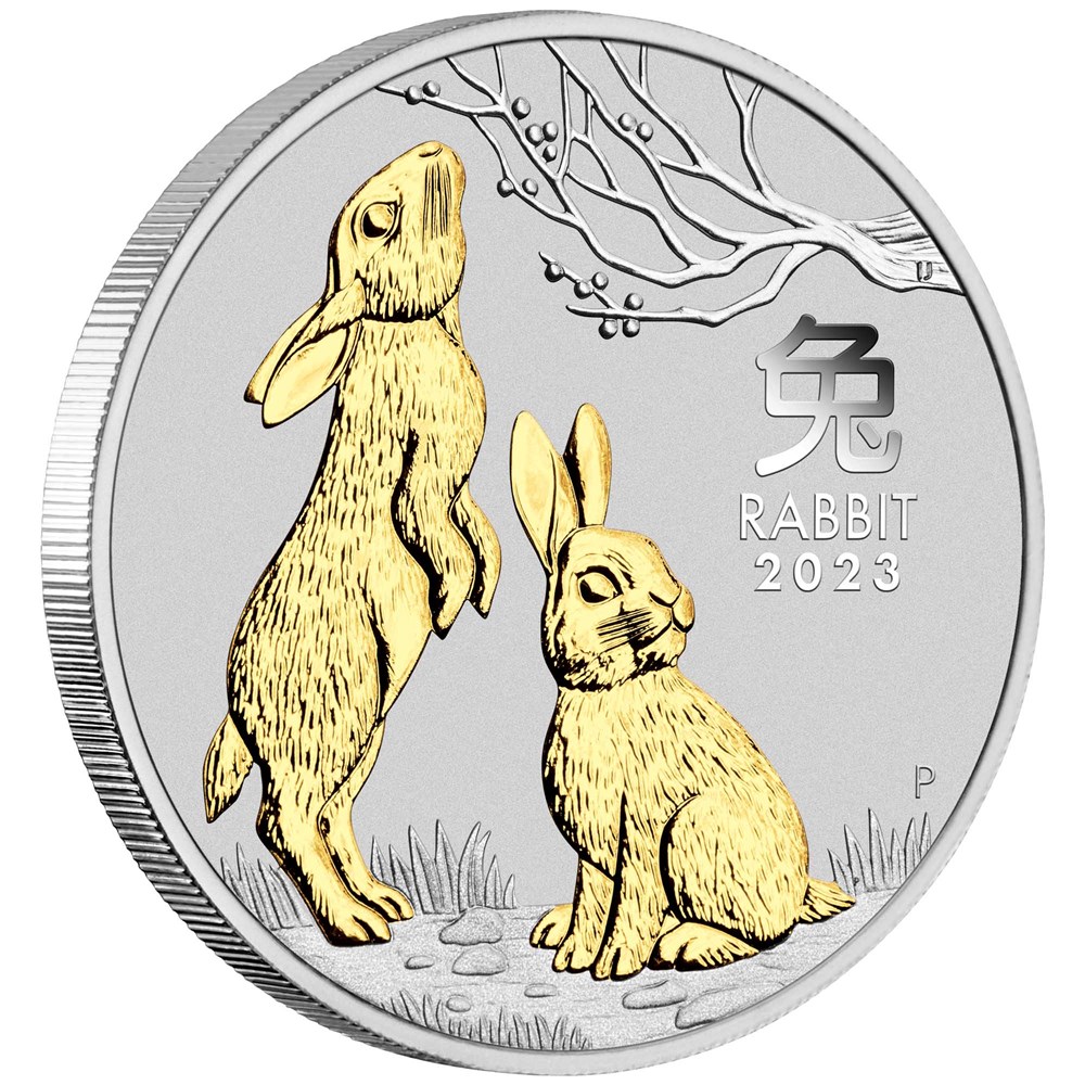Thumbnail for 2023 Year of the Rabbit One oz Silver Gilded Coin