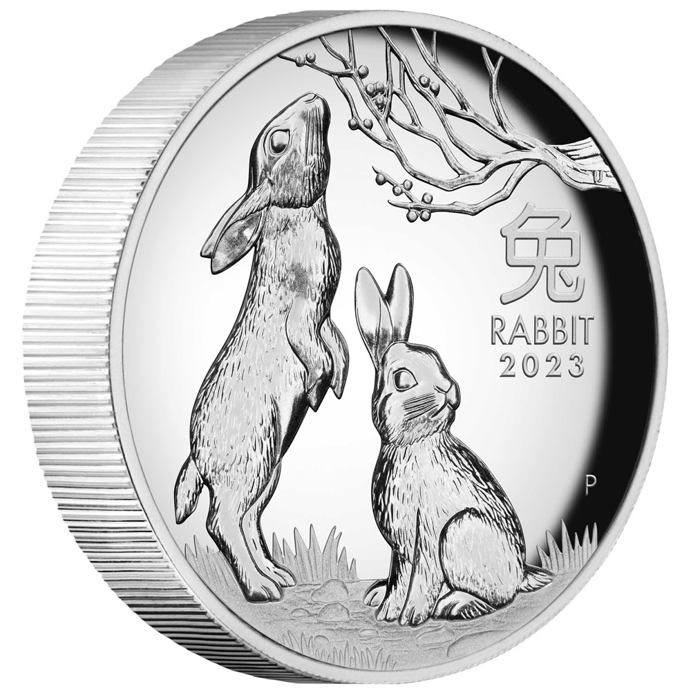 Thumbnail for 2023 Year of the Rabbit One oz High Relief Proof Coin