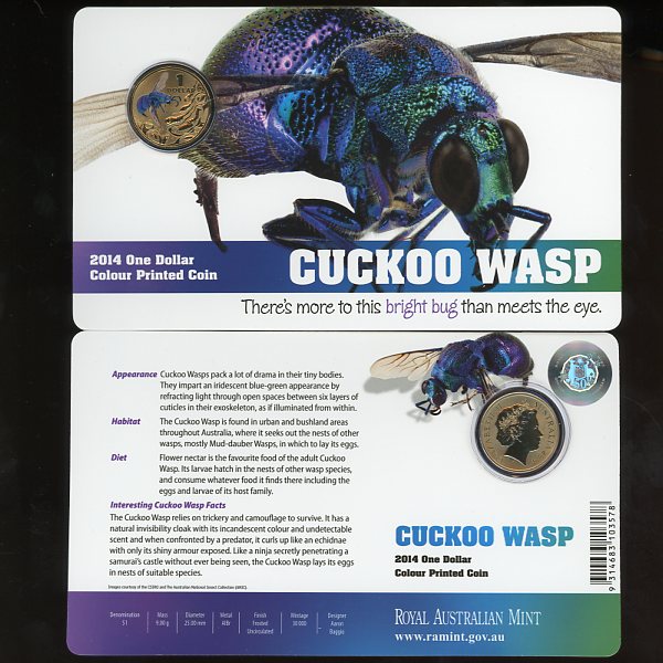 Thumbnail for 2014  Bright Bugs - Cuckoo Wasp 