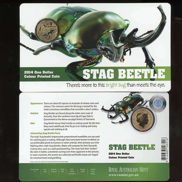 Thumbnail for 2014 Bright Bugs - Stag Beetle