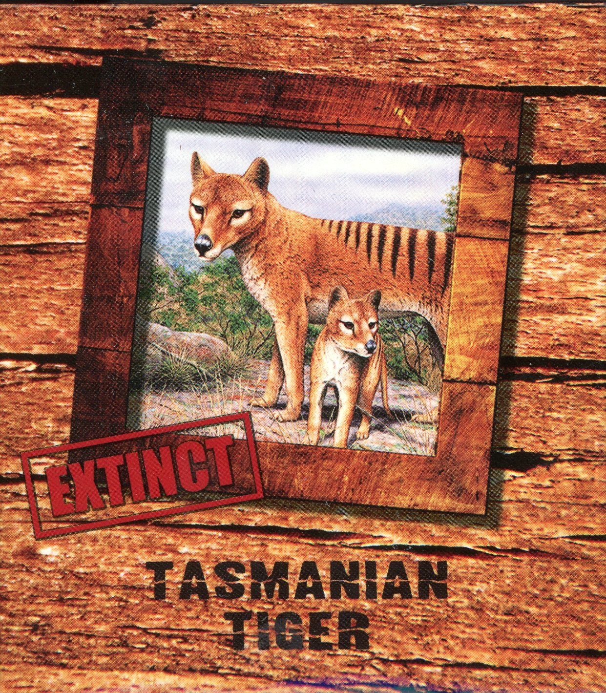 Thumbnail for 2011 Tuvalu Endangered Species - Tasmanian Tiger