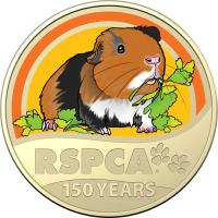 Image 2 for 2021 $1 150th Anniversary of the RSPCA  Australia - Guinea Pig on Card (Single Coin)