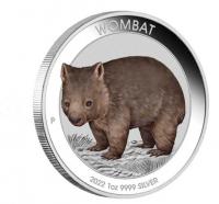 Image 1 for 2022 Australian Wombat 1oz AG  Perth Mint  Coloured Coin in Card 