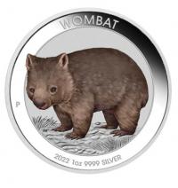 Image 3 for 2022 Australian Wombat 1oz AG  Perth Mint  Coloured Coin in Card 