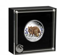 Image 3 for 2022 Quokka 1oz Silver Proof Coin