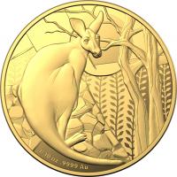 Image 2 for 2022 $10 Kangaroo Series One Tenth Oz Gold Proof Coin