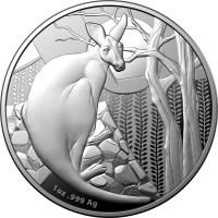 Image 2 for 2022 $1 Kangaroo Series Fine Silver 1oz Proof coin in Box