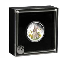 Image 4 for 2023 50 Cent - Year of the Rabbit - Baby Half oz SIlver Proof Coloured Coin