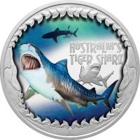 Image 1 for 2023 $1 Deadly & Dangerous Australia's Tiger Shark 1oz Silver Proof Coloured Coin
