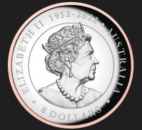 Image 5 for 2023 Australian Koala 5oz Silver Proof High Relief Gilded Coin