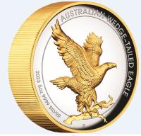 Image 1 for 2023 $8 Australian Wedge Tailed Eagle 5oz Silver Proof High Relief GILDED Coin