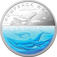 Image 1 for 2023 $5 Australian Antarctic Territory Humpback Whale 1oz Coloured Silver Proof Coin