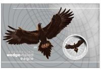 Image 1 for 2024 $1 Australian Wedge Tailed Eagle 10th Anniversary 1oz Silver Coloured Coin in Card (Perth Mint)