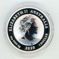Image 2 for 2020 1oz Silver Bullion Coin - Double Pixiu  