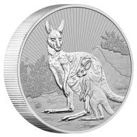 Image 1 for 2023 $2 Mother and Baby 2oz Silver Piedfort Bullion Coin