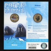Image 1 for 2013 Polar Series - Walrus
