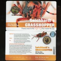 Image 1 for 2014 Bright Bugs - Leichhardt's Grasshopper 