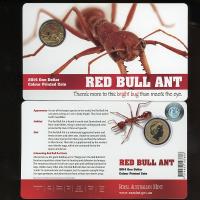 Image 1 for 2014 Bright Bugs - Red Bull Ant 
