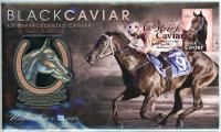 Image 1 for 2013 Black Caviar Unprecedented Career Medallic PNC