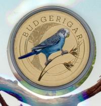 Image 2 for 2022 Issue 16 Budgerigars PNC with Perth Mint Coloured Budgerigar $1 Coin