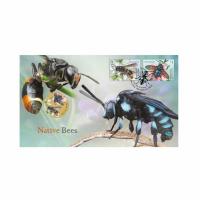 Image 1 for 2019 Issue 17 Native Bees