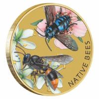 Image 2 for 2019 Issue 17 Native Bees