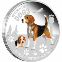 Image 2 for 2011 Tuvalu Working Dogs 1oz Coloured Silver Coin - Beagle