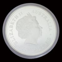 Image 2 for 2004 Year Of The Monkey 1 KILO Silver Proof in capsule only.