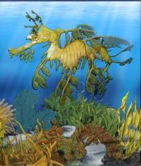 Image 1 for 2009 Australian Sea Life Half oz Coloured Silverproof- Leafy Sea Dragon