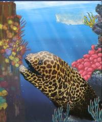 Image 1 for 2010 Australian Sea Life Half oz Coloured Silverproof - Moray Eel