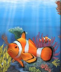 Image 1 for 2010 Australian Sea Life Half oz Coloured Silverproof - Clown Fish