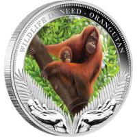 Image 2 for 2011 Tuvalu Wildlife In Need 1oz Coloured Silver Coin - Orangutan