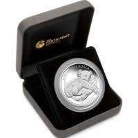 Image 4 for 2012 5oz Silver Proof Coin Australian Koala