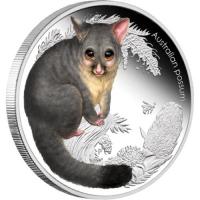 Image 2 for 2013 Bush Babies Half oz Coloured Silver Proof - Possum