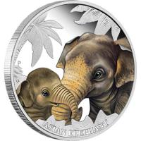 Image 2 for 2014 Tuvalu Coloured Proof Fifty Cent Mothers Love - Asian Elephant
