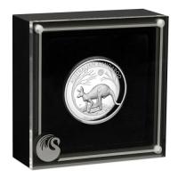 Image 2 for 2019 Australian Kangaroo 1oz Silver Proof High Relief Coin