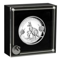 Image 4 for 2020 Australian Kangaroo 5oz Silver Proof High Relief Coin