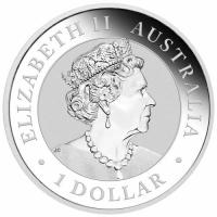 Image 4 for 2020 Australian Kangaroo 1oz Silver Gilded Edition
