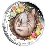 Image 2 for 2021 Dreaming Down Under – Kangaroo Half oz Silver Proof Coin