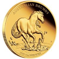 Image 1 for 2021 Australian Brumby 1oz Gold Proof Coin