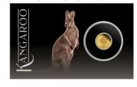 Image 1 for 2022 $2 Mini Kangaroo 0.5g Gold Proof Coin in Card