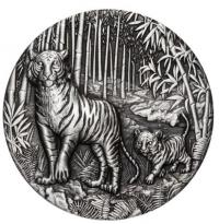Image 2 for 2022 Australian Lunar Series III Year of the Tiger 2oz Silver Antiqued $2 Coin