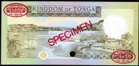 Image 2 for 1988 Tonga Specimen Fifty Pa'anga A1 000000 UNC
